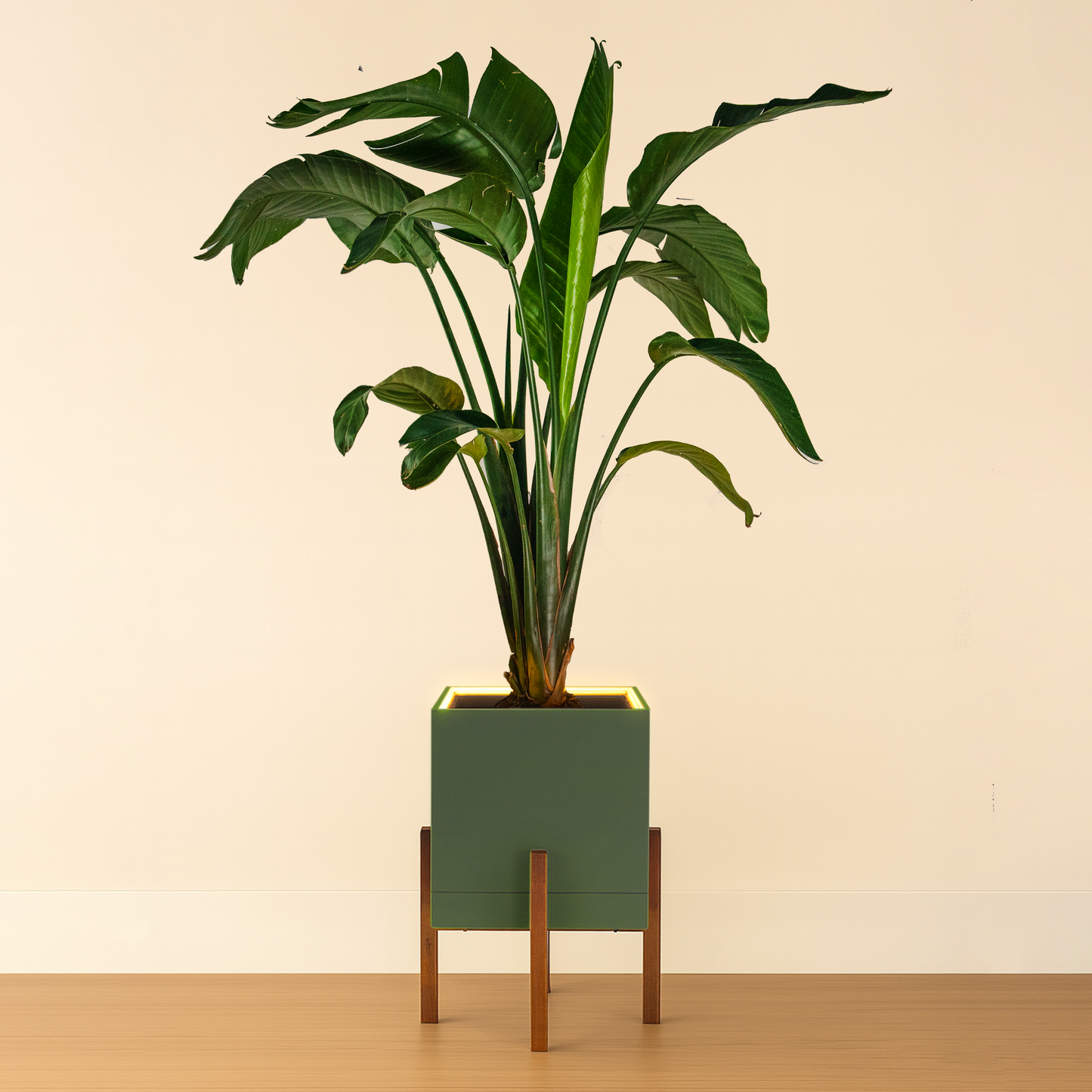 Moderne | Large Square LED Planter