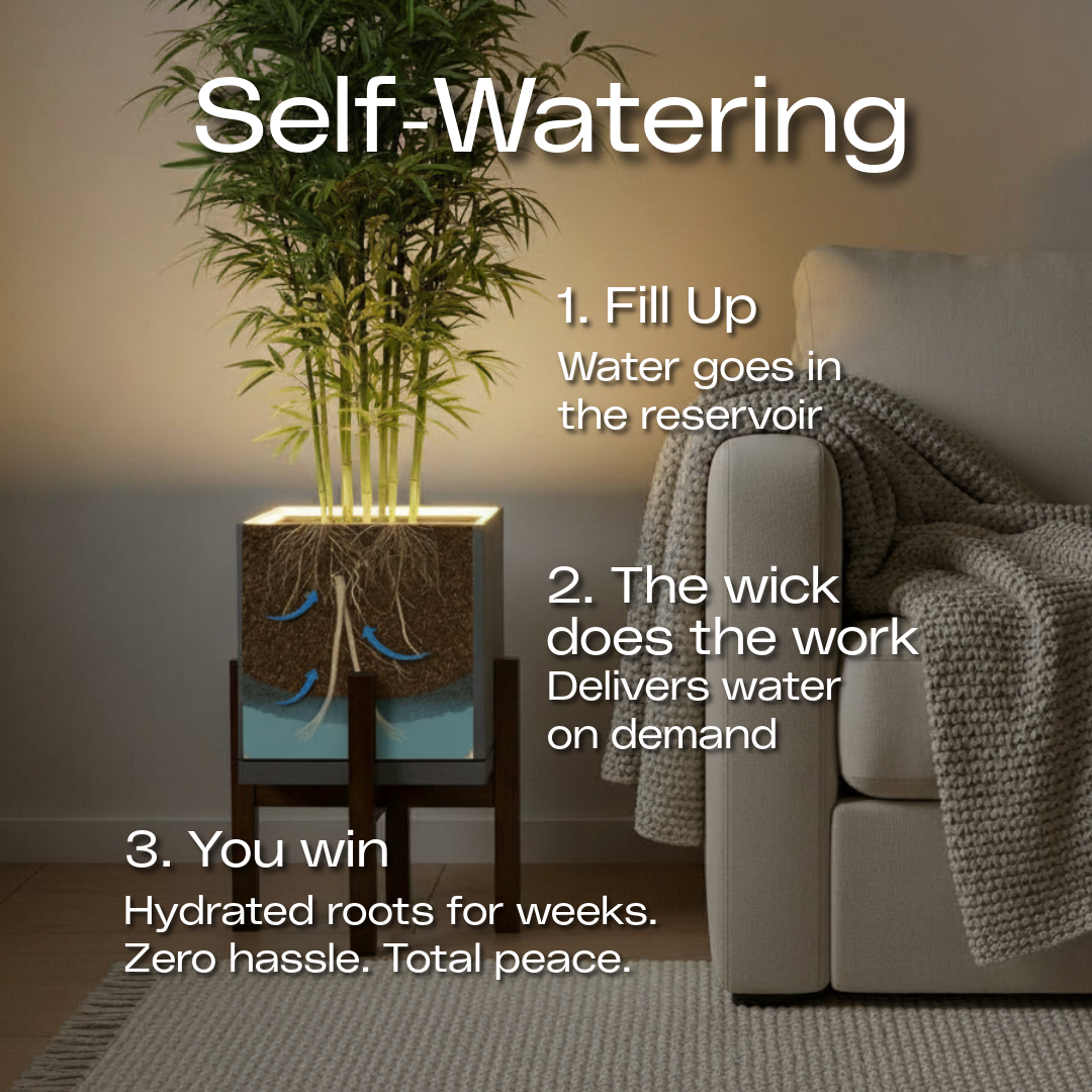 Moderne | Large Square LED Planter