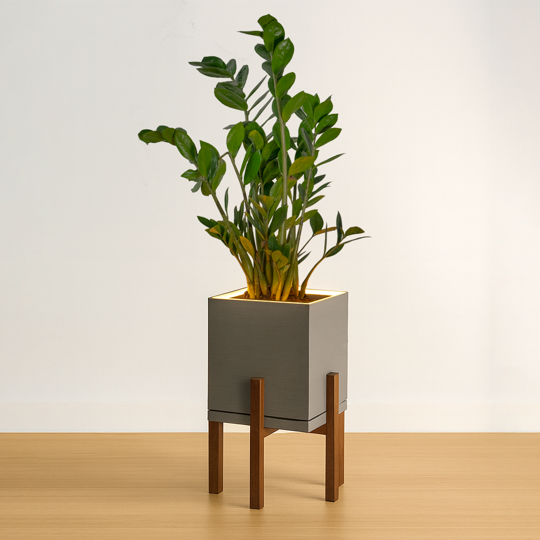 Slide 2 - ConcreteJungle