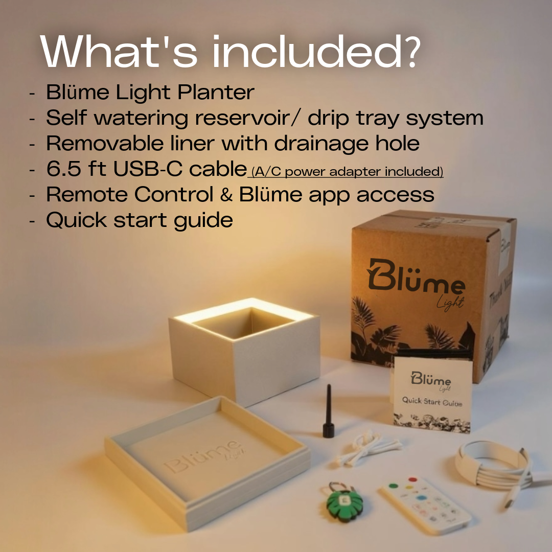 Slide 5 - LunaWhite