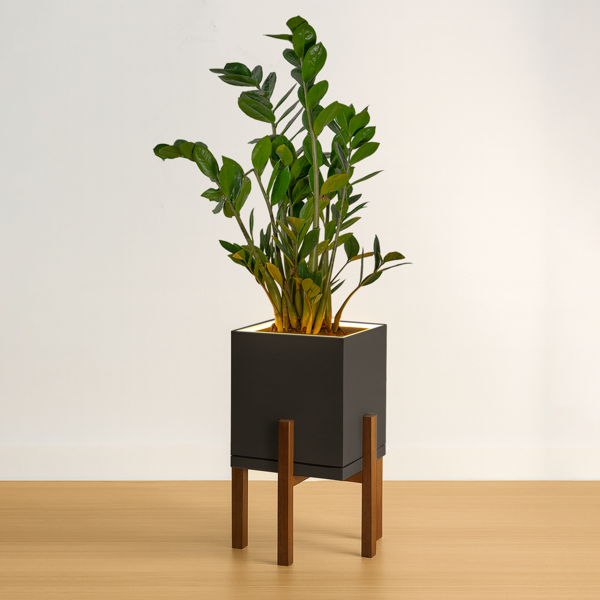 Slide 2 - CharcoalBlack