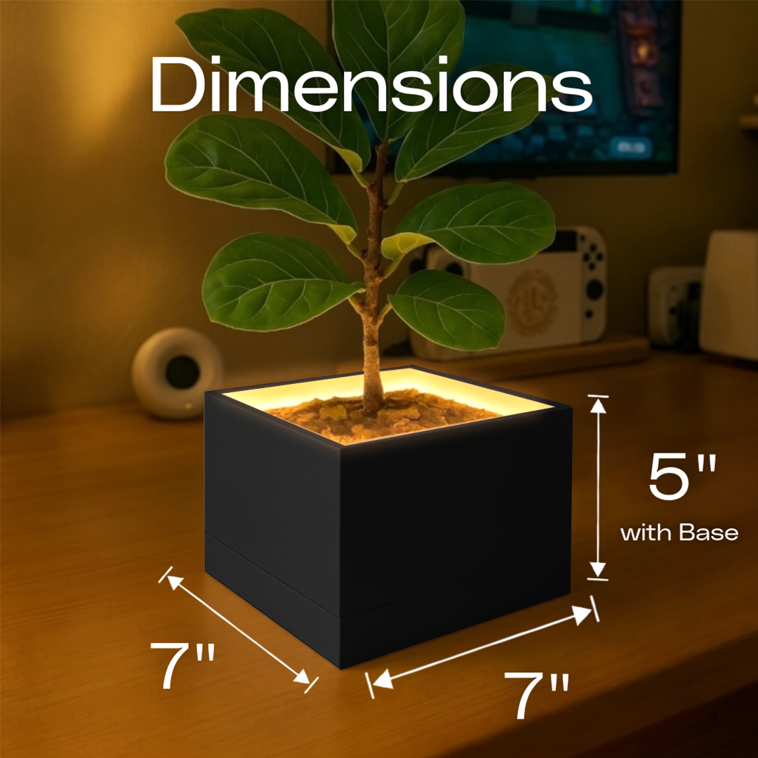 Slide 3 - CharcoalBlack