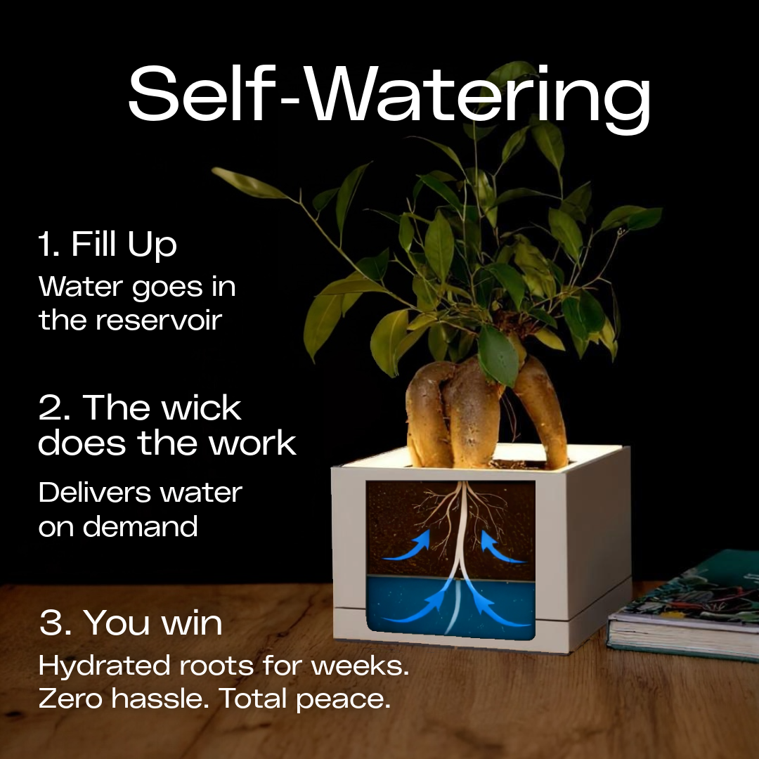 Moderne | Small Square Table LED Planter - Luna White