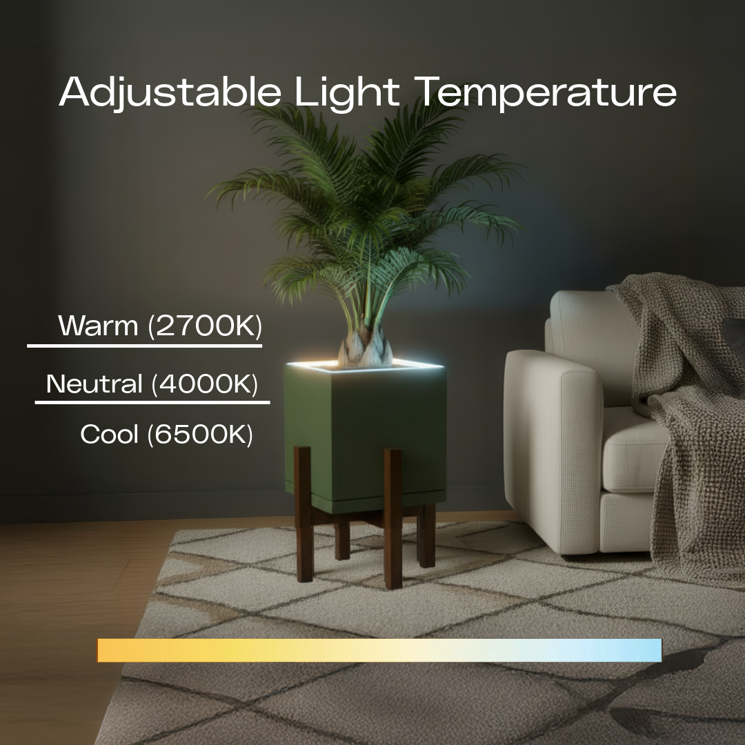 Moderne | Large Square LED Planter