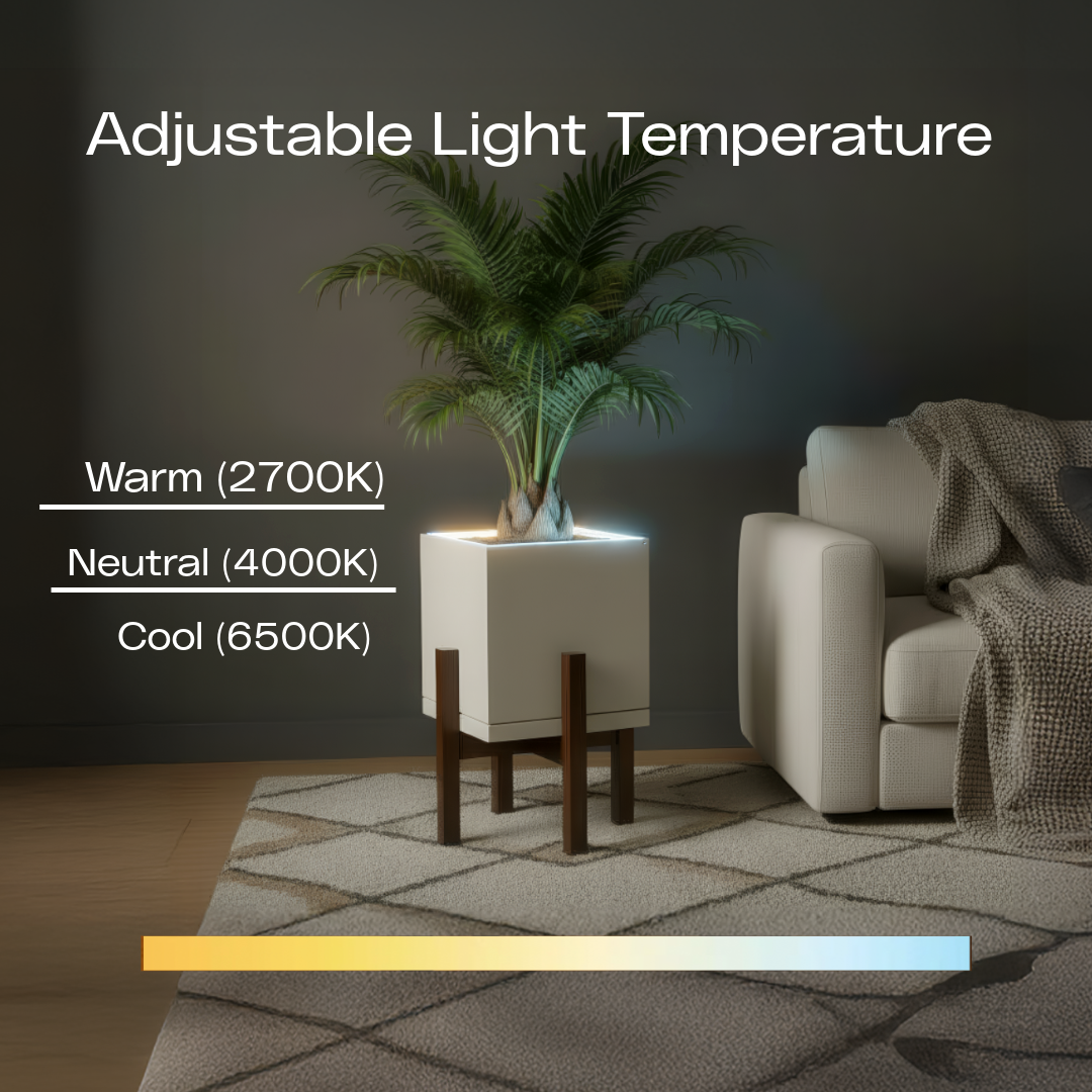 Moderne | Medium Square LED Planter