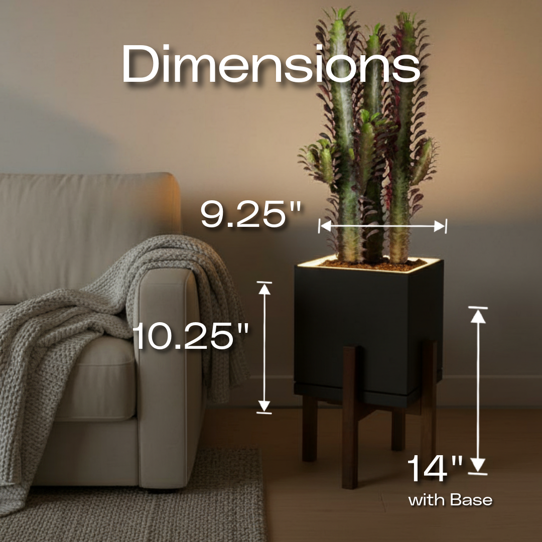 Slide 7 - CharcoalBlack