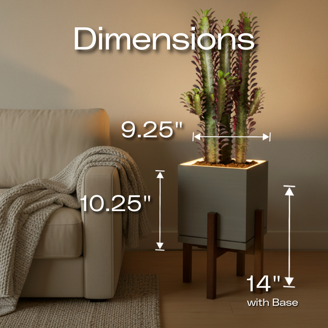 Slide 7 - ConcreteJungle