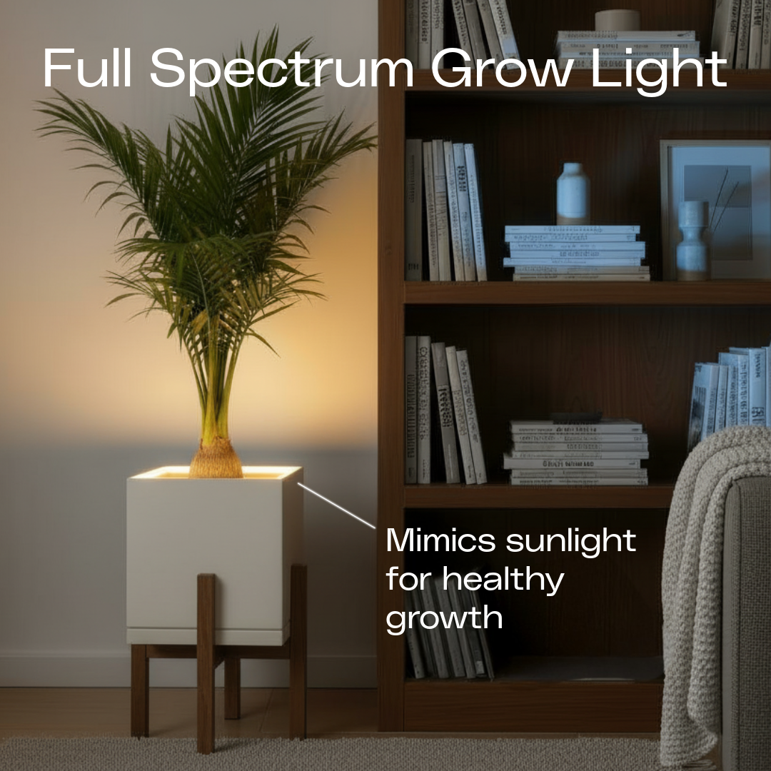 Moderne | Medium Square LED Planter