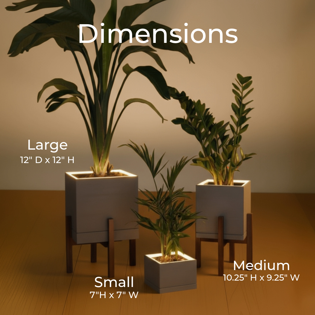 Moderne Bundle - Set of 3 Square Planters