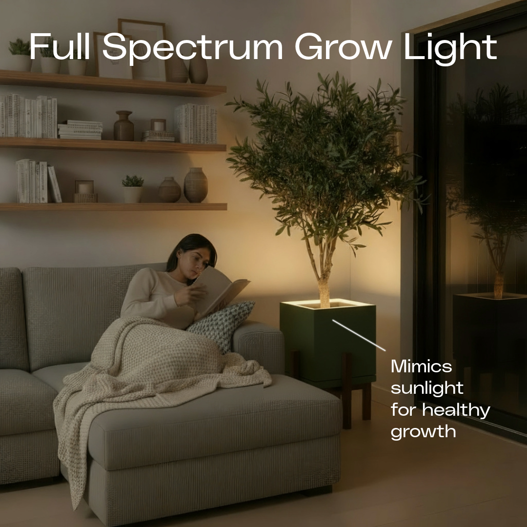 Moderne | Large Square LED Planter