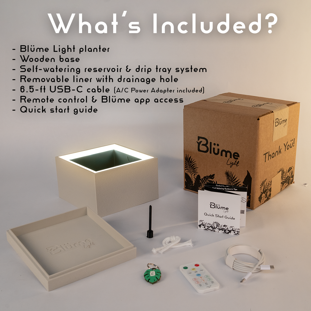 Moderne | Small Square Table LED Planter - Zen Sage