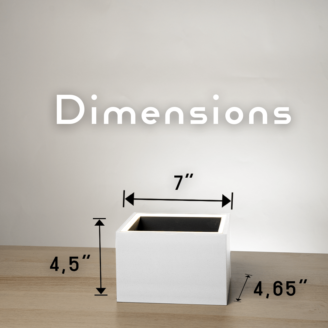 Slide 3 - ConcreteJungle