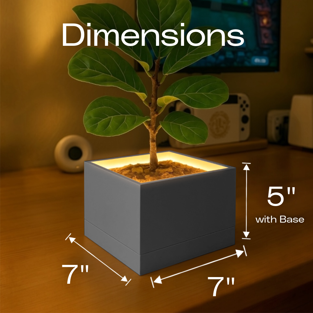 Slide 3 - ConcreteJungle