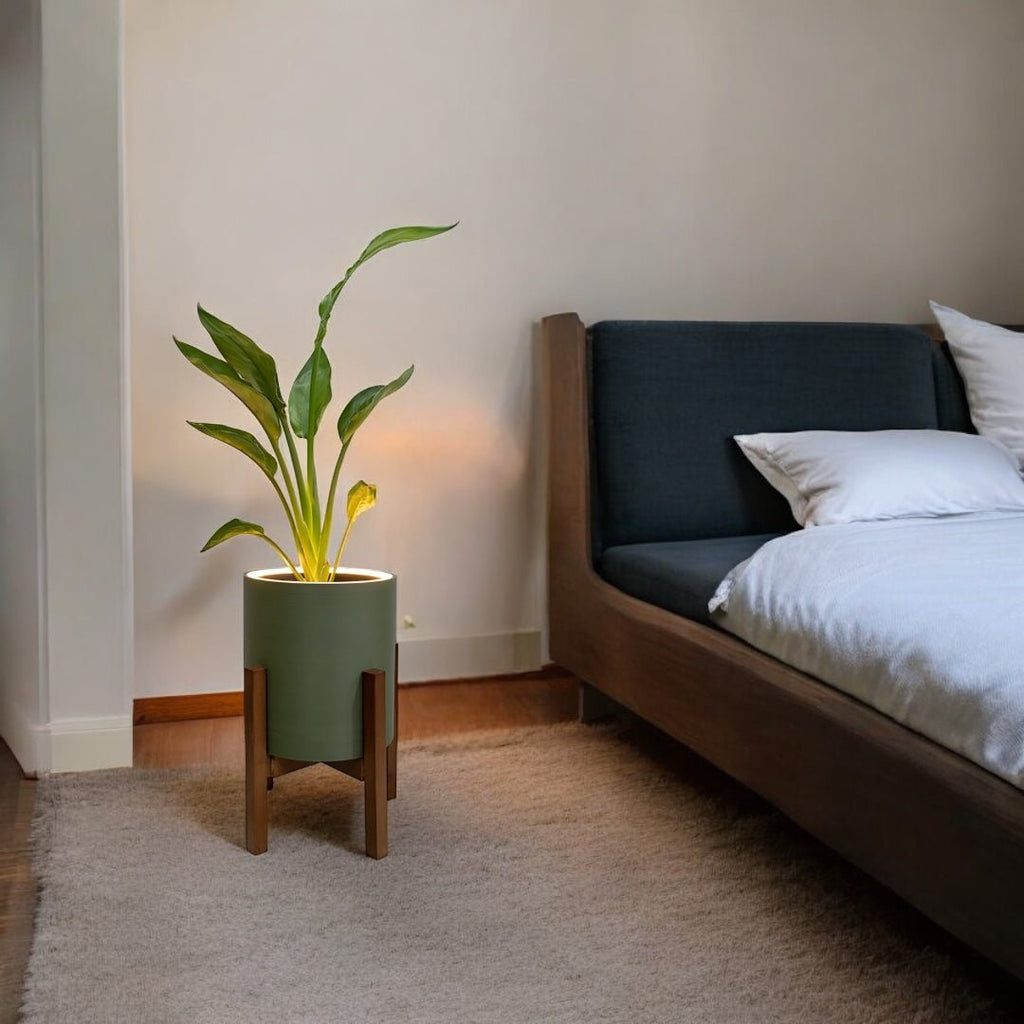 Transform Your Bedroom into a Sanctuary with Blüme Light: The Perfect Blend of Indoor Plants and LED Lighting - Blüme Light