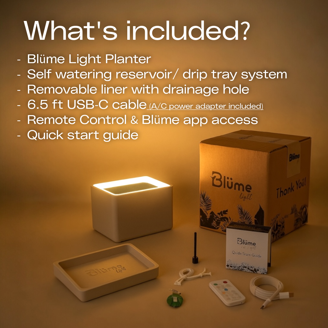 Slide 9 - LunaWhite