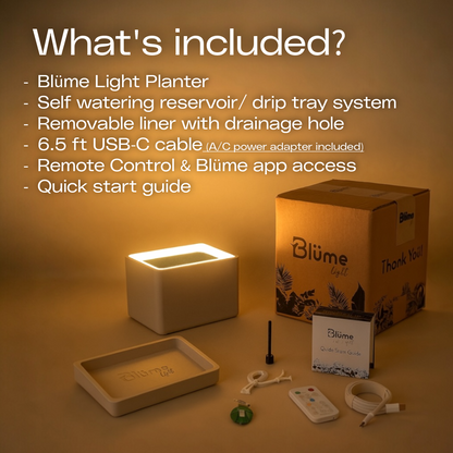 Slide 9 - LunaWhite
