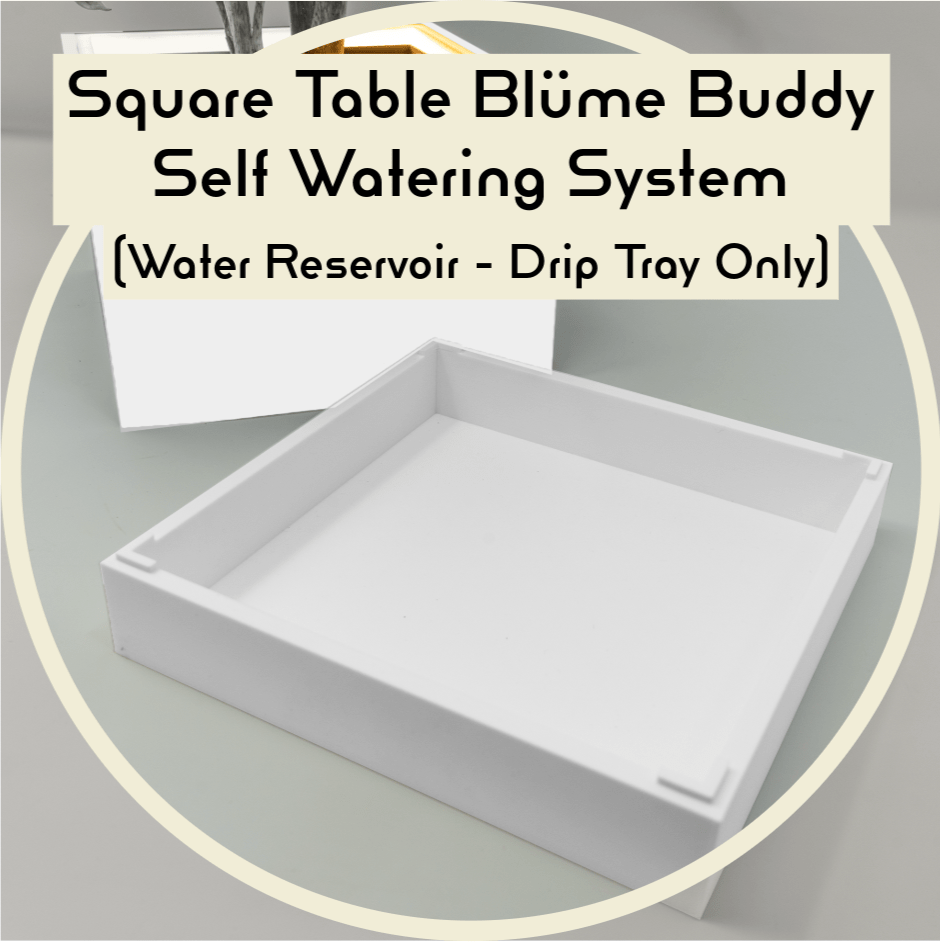 Blüme Buddy Reservoir for Moderna Square Table - Self Watering System (Water Reservoir/Drip Tray Only)Blüme LightBlüme LightMODE - ST - SWS - LW