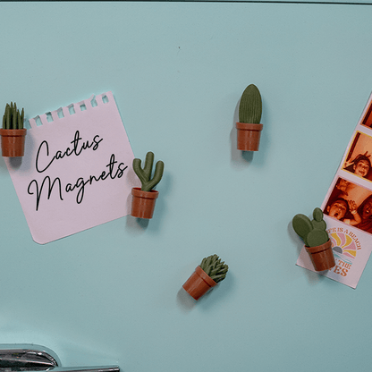 Cactus Fridge Magnets (6 pcs)