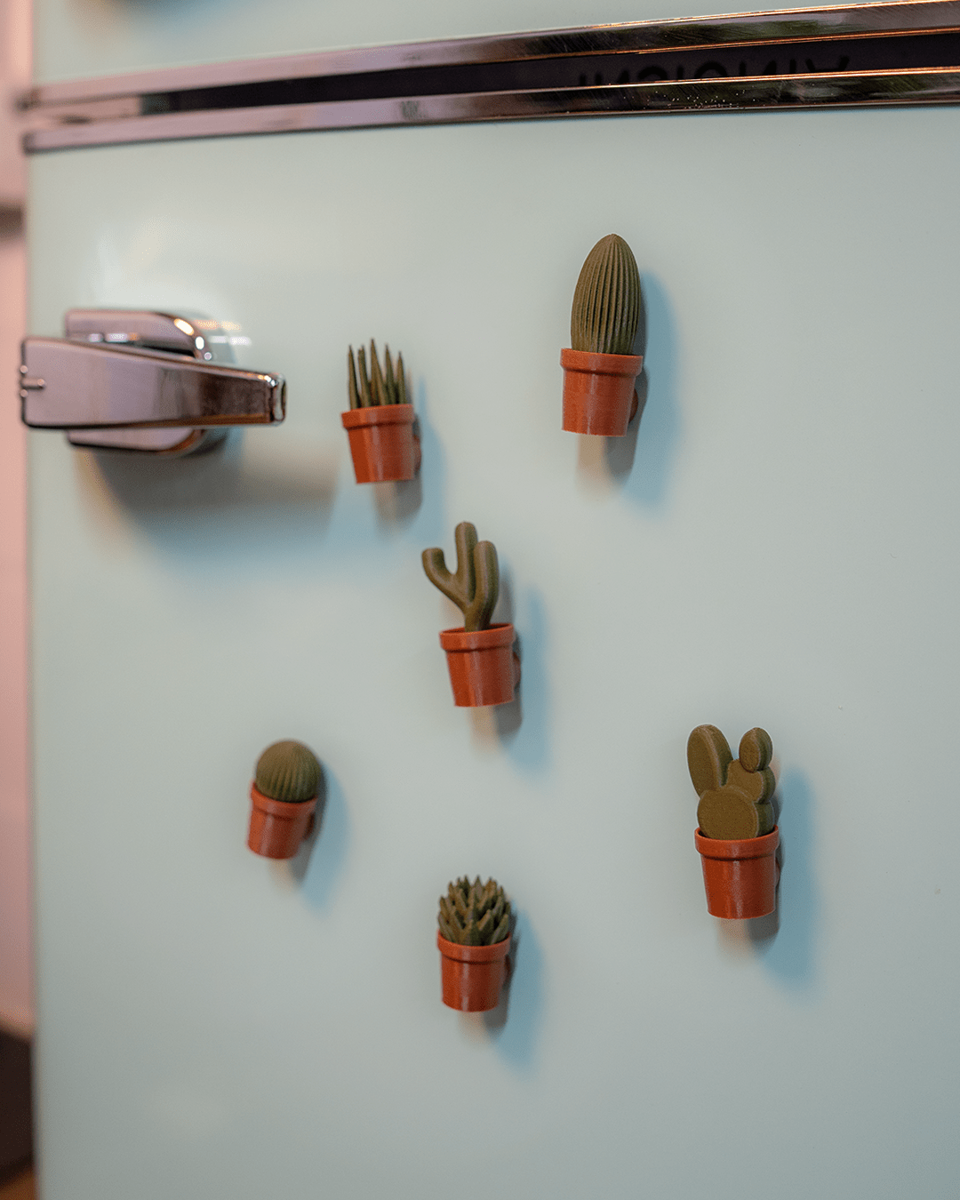 Cactus Fridge Magnets (6 pcs)