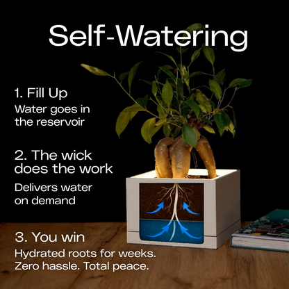 Moderne | Small Square Table LED Planter - Luna White