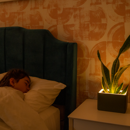 Retro Table LED Planter