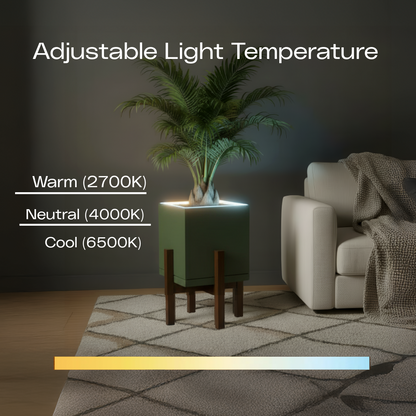 Moderne | Large Square LED Planter