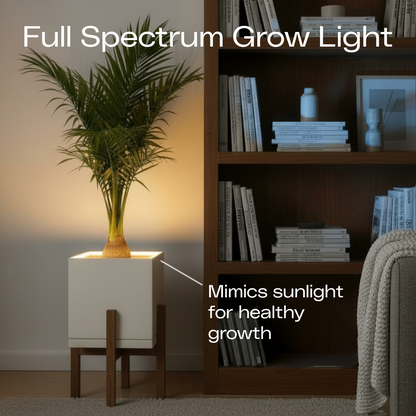 Moderne | Medium Square LED Planter
