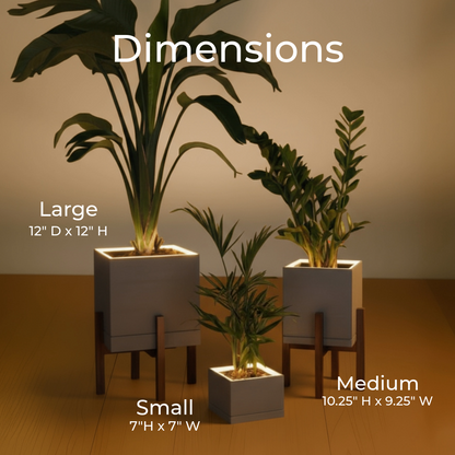 Moderne Bundle - Set of 3 Square Planters