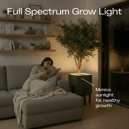 Moderne | Large Square LED Planter