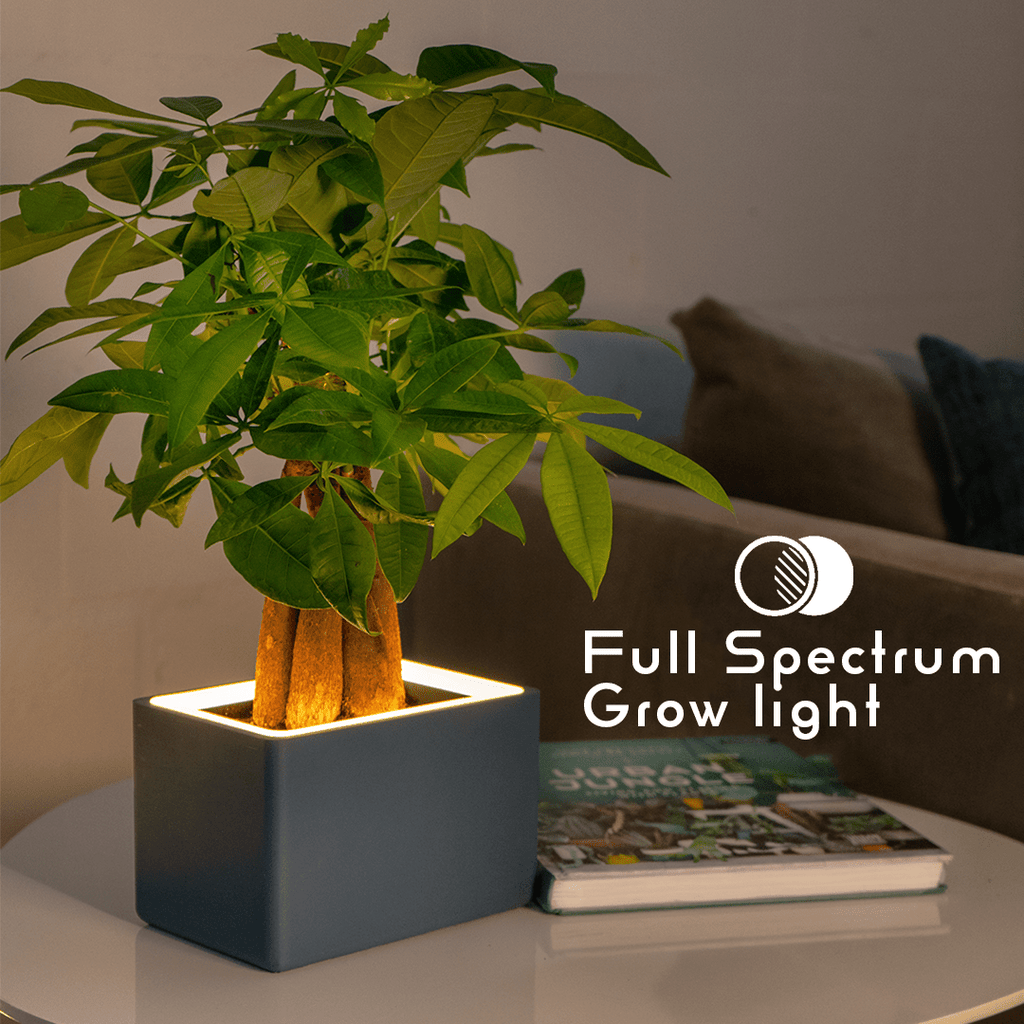 Retro Table LED Planter - Concrete JunglePots & Planters