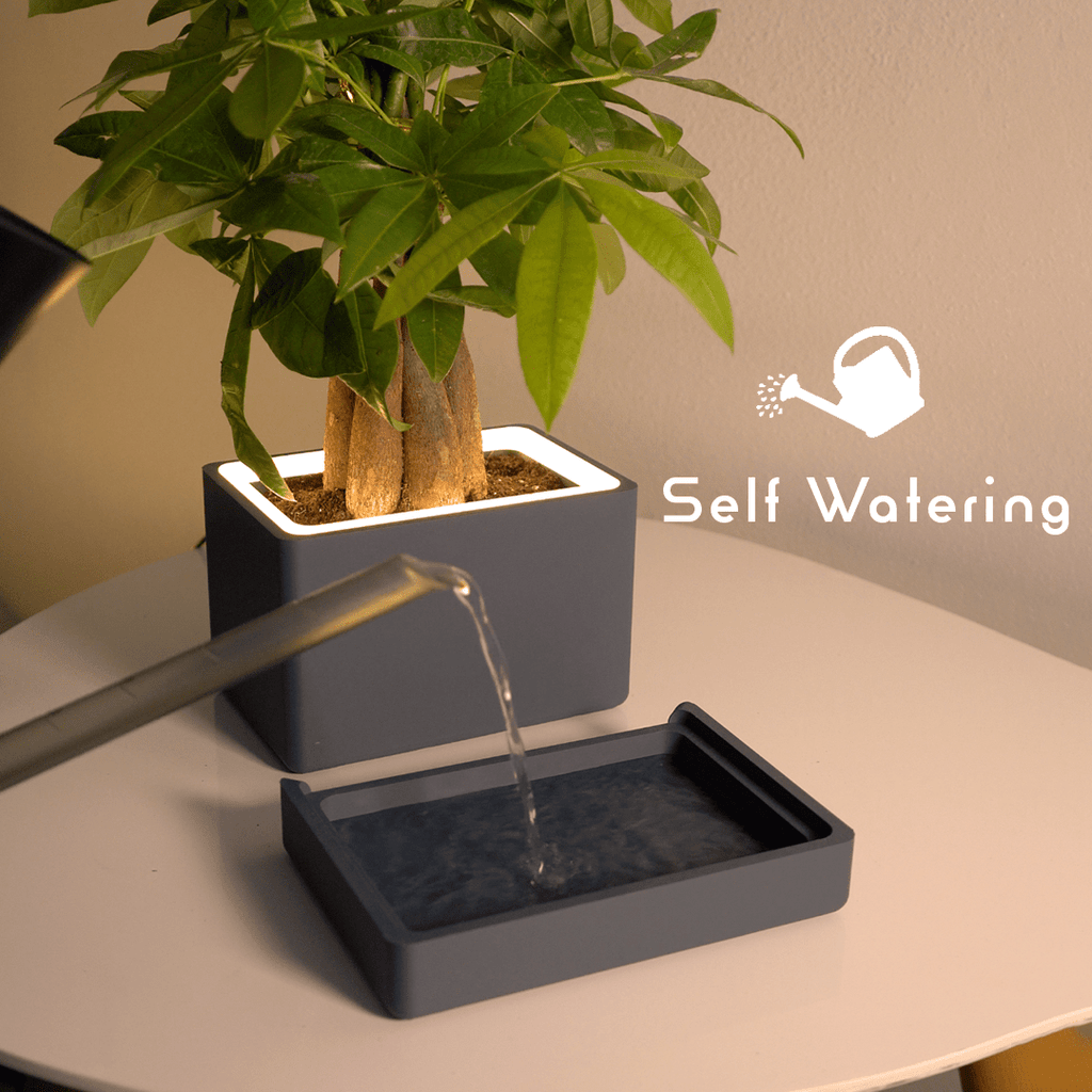 Retro Table LED Planter - Zen SagePots & Planters