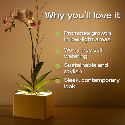 Retro Table LED Planter